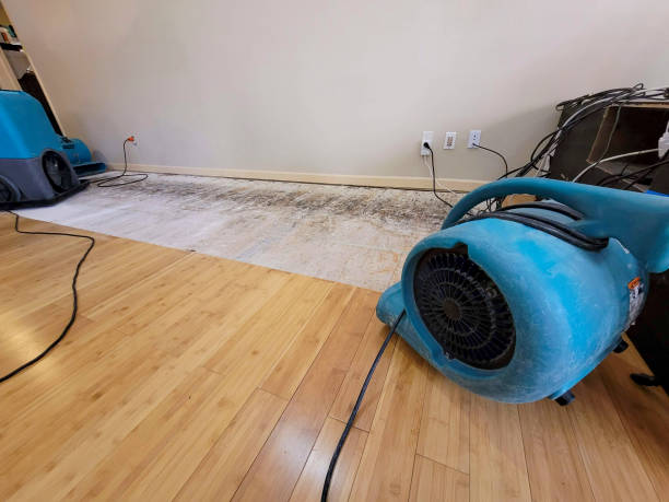 Professional Sewage Cleanup technician working in Purcellville, VA